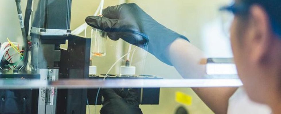 3D printed skin repairs serious injuries and even contains hair