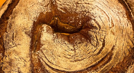 8600 year old bread found