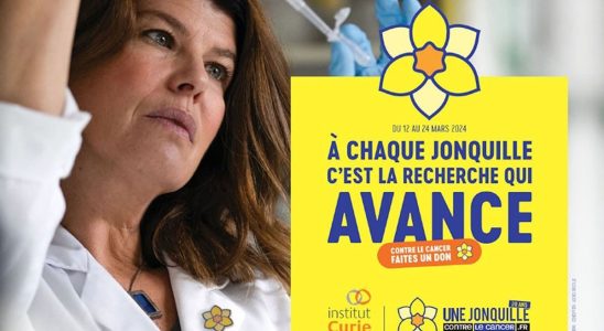 A Daffodil Against Cancer the Institut Curie campaign celebrates its