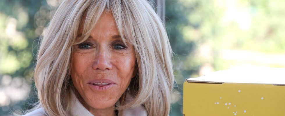 A conspiracy theory about Brigitte Macron unearthed by the American