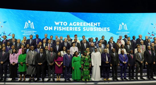 Agriculture fishing… The WTO still blocked is sinking into crisis
