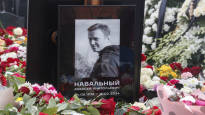 Alexei Navalnys grave was covered in a huge mountain of