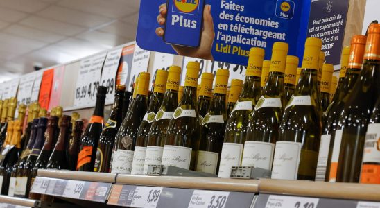 An expert tasted Lidl wines blind he loved these 6