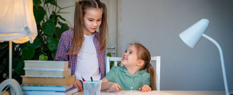 Big sister syndrome what science tells us about the place