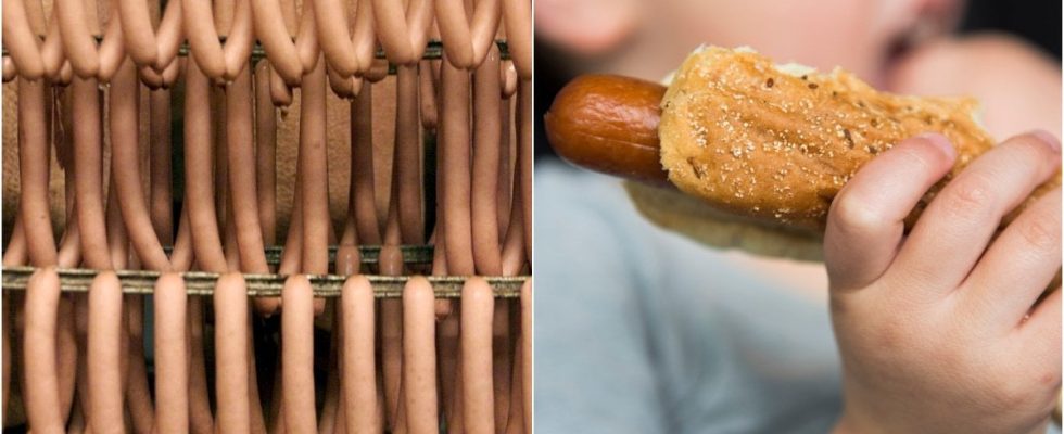 Classic sausage giant in bankruptcy new owner takes over