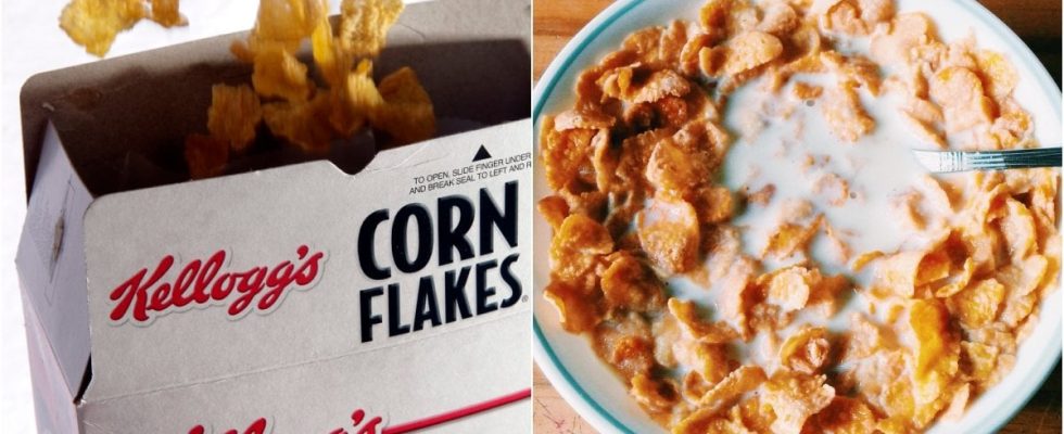 Customers storm of criticism against Kelloggs Dystopian