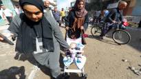 Doctors no longer see normal sized babies in Gaza This