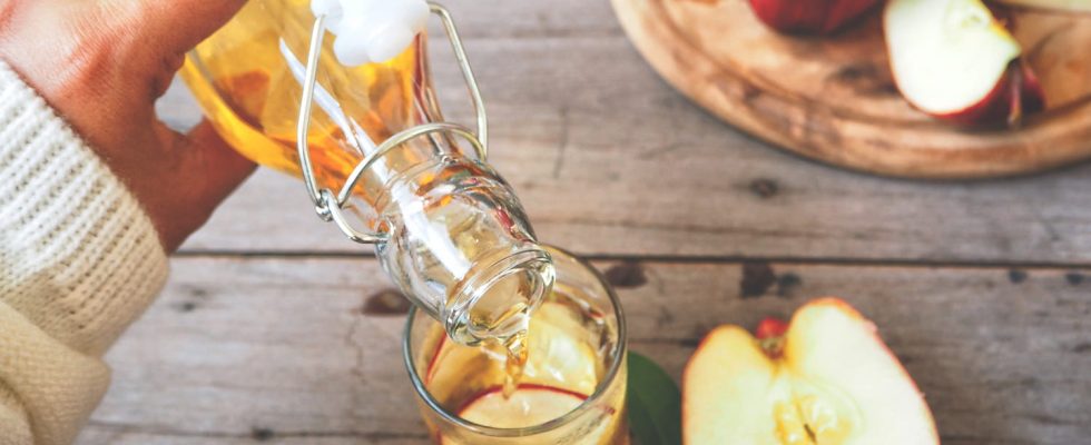 Does apple cider vinegar really help you lose weight We