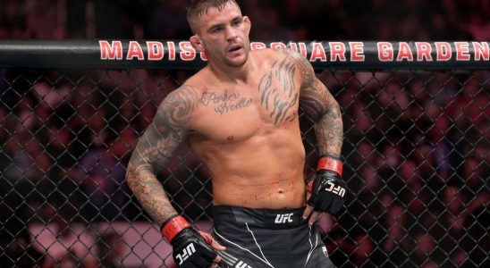 Dustin Poirier is linked to France and heres why