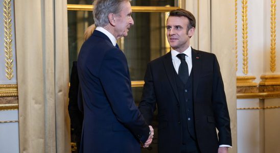 Emmanuel Macrons praise for Bernard Arnault during an evening at