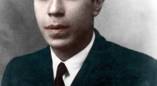 Ettore Majorana or the resurrection of a young physics prodigy
