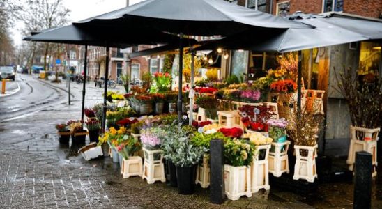 Flower stall must have wheels much criticism of new plan