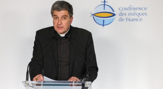French bishops unanimously oppose aid bill