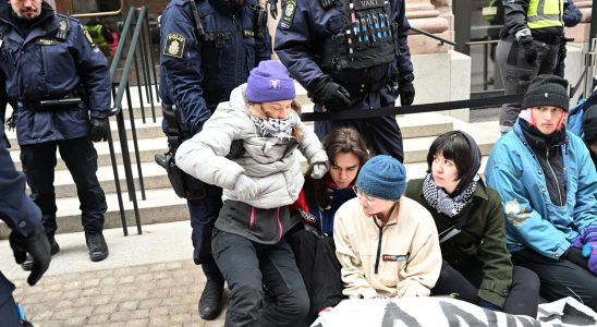 Greta Thunberg taken away by police
