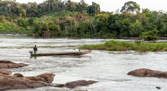 Guyana Haut Maroni still in the fight against illegal gold panning