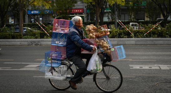 In China the postponement of the retirement age debated again