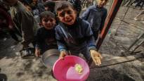 In Gaza children died of malnutrition the UN warns
