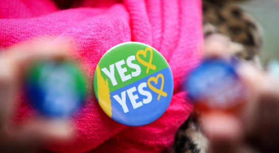 Ireland towards a revision of the Constitution deemed sexist towards