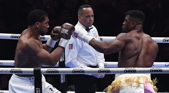 Joshua knocks out Ngannou in his second boxing fight