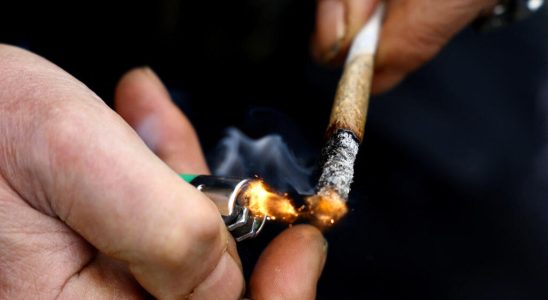 Legalization of recreational cannabis for adults in Germany from April