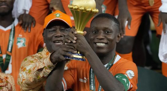 Max Alain Gradel an Elephant who will be greatly missed in