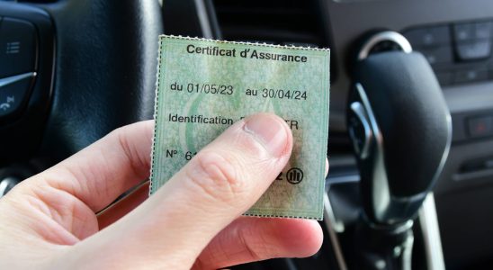 Motorists forgotten by their insurance heres how to check that