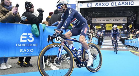 No longer conclude contracts in euphoria Lefevere turns on Alaphilippe