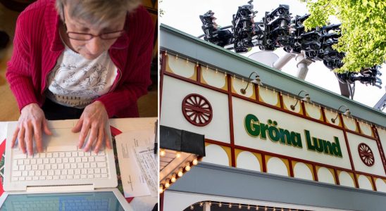Pensioner Find your dream job at Grona Lund