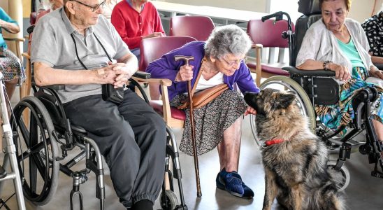 Pets allowed in nursing homes under what conditions