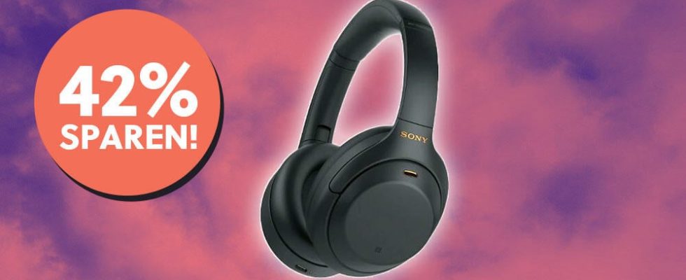 Popular premium headphones from Sony are finally back on sale