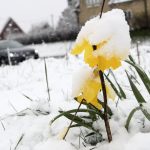 SMHI warns there will be snow here at Easter