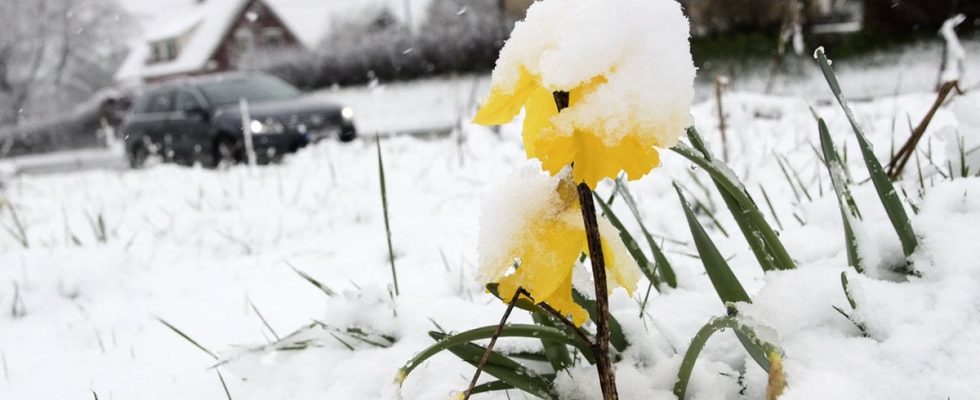 SMHI warns there will be snow here at Easter