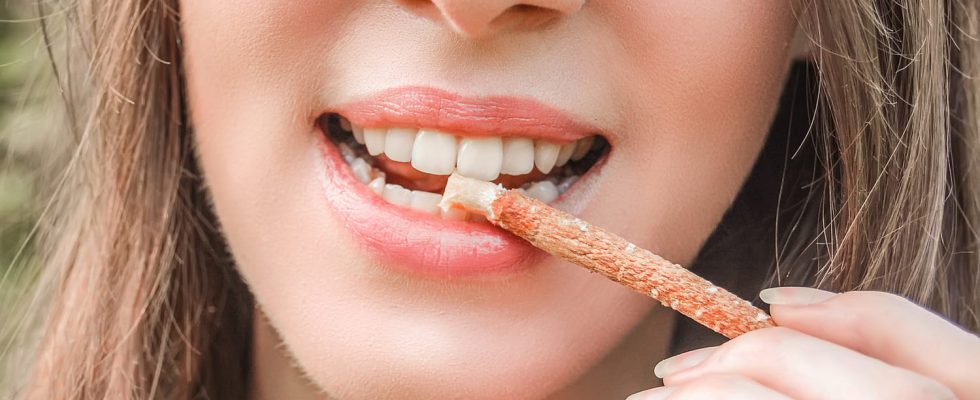 Siwak what is this natural teeth whitening stick