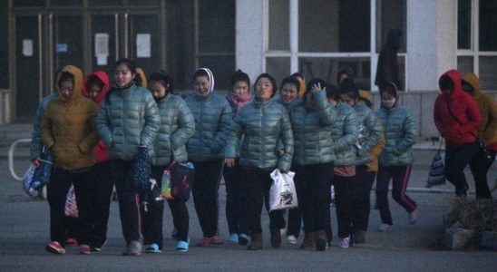 Some 100000 North Koreans work overseas for regime report says