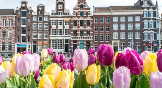 Staying during the Tulp Festival