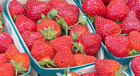 Strawberries are already back on the shelves should you buy