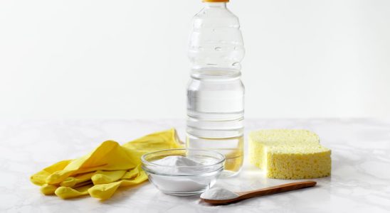 The 10 objects to never clean with white vinegar