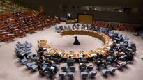 The UN Security Council calls for a ceasefire in Gaza