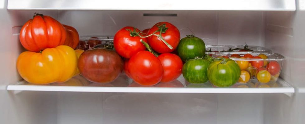 The best tips for preserving food and saving money