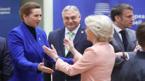 The leaders of EU countries reached an agreement on increasing