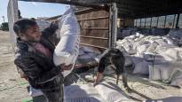 WFP Attempt to continue food aid to northern Gaza largely