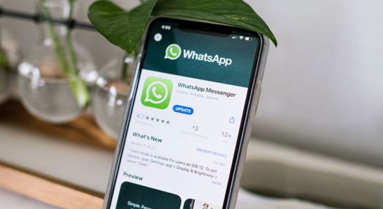 WhatsApp Makes Communication More Organized with Group Activities