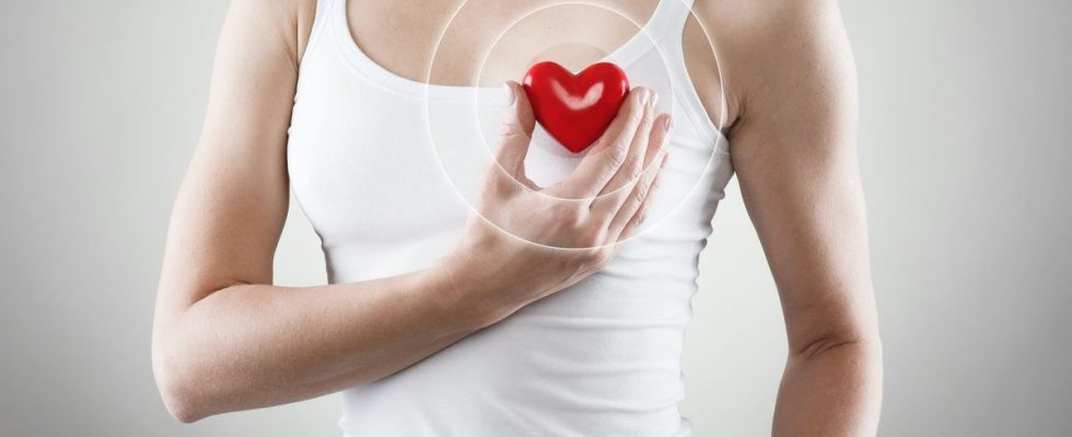 Women need to take their cardiovascular health more seriously
