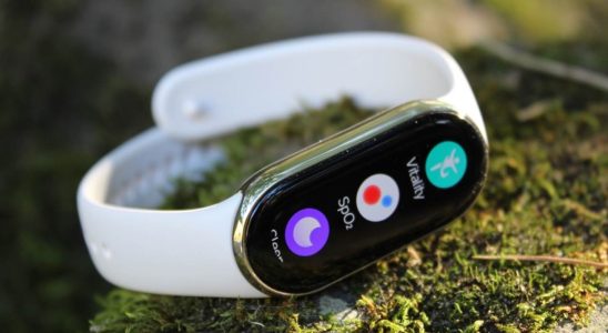 Xiaomi Smart Band 9 and Band 9 NFC Models Approved