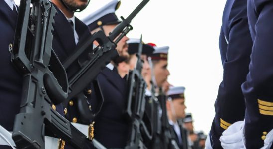 a fake government site encourages the French to fight