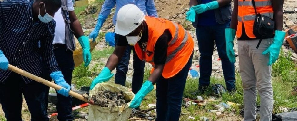 large quantity of dead fish found in Bietry Bay