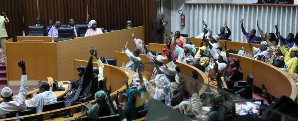the National Assembly adopts an amnesty law in the midst