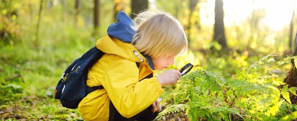 3 tips for reconnecting your child with nature