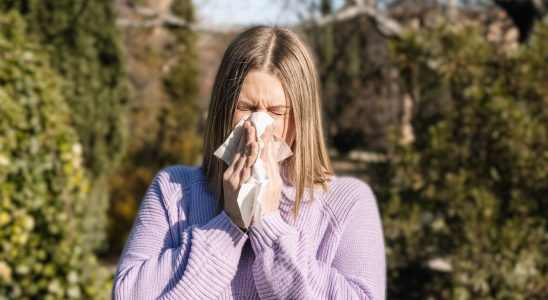 6 places conducive to seasonal rhinitis and the right reflexes