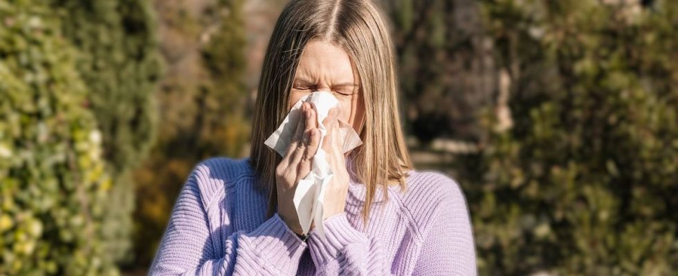6 places conducive to seasonal rhinitis and the right reflexes